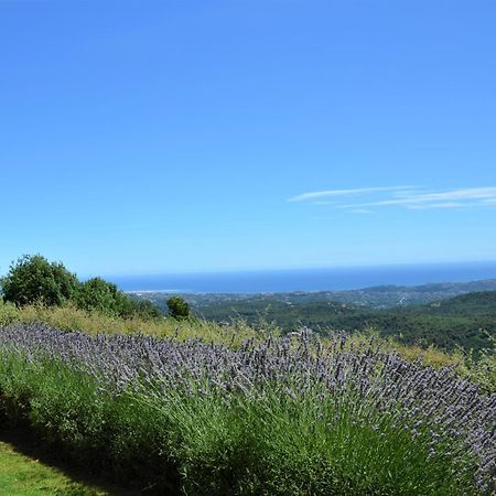 Bed and Breakfast La Bastide Des Pins Ванс Экстерьер фото